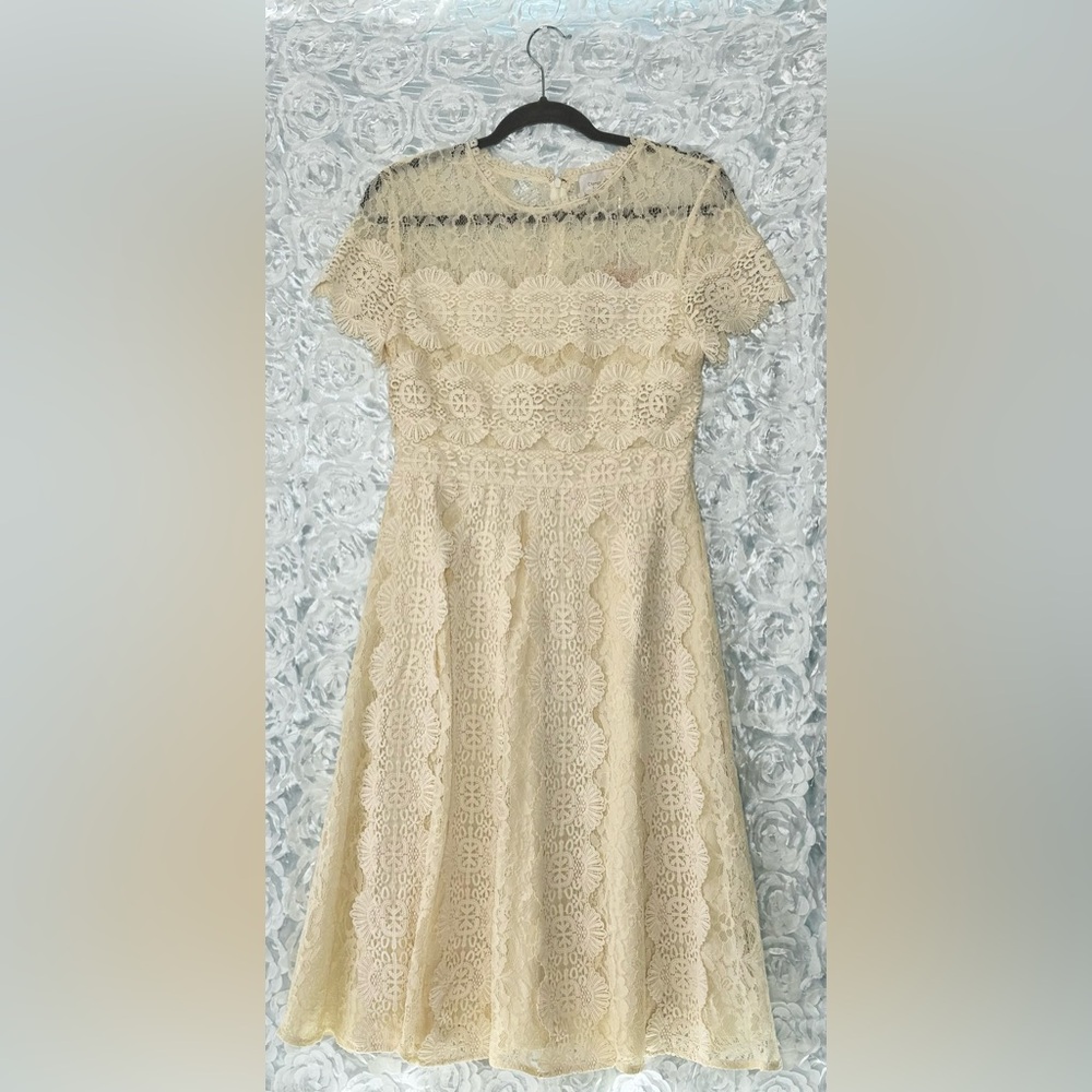 NWT Champagne and Strawberry Lace Dress Sz M Ivory Beige Women’s Dress